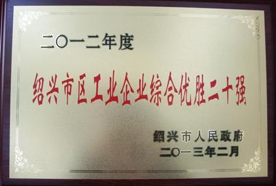 祝賀我公司被列為2012年度紹興市行業龍頭骨干企業100強。（市區工業企業綜合優勝二十強）